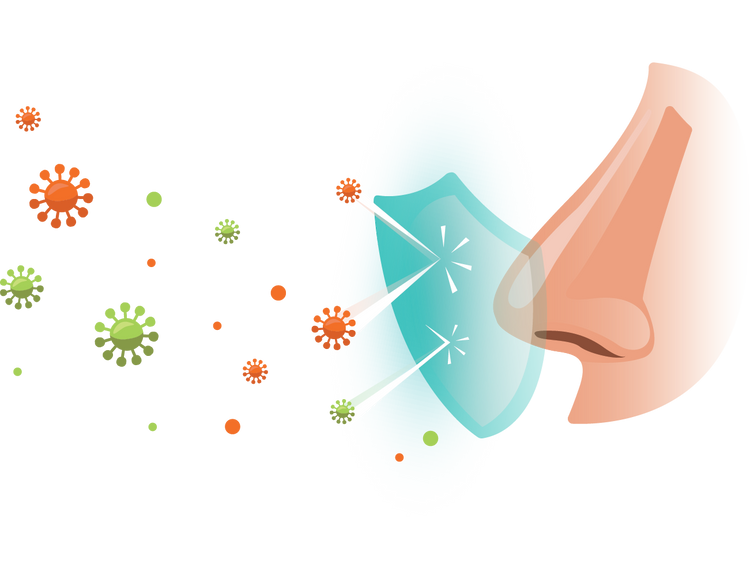 Profi Nasal Spray - Elevate Your Defense Against Airborne Germs
